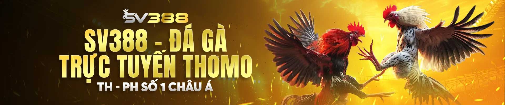 Sv388 ⭐️ Link Trực Tiếp Đá Gà 2025 | Tặng 100k Cho Người Mới banner sv388