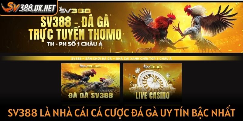 Sv388 ⭐️ Link Trực Tiếp Đá Gà 2025 | Tặng 100k Cho Người Mới SV388 là nhà cái cá cược đá gà uy tín bậc nhất